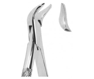 Extracting Forceps American pattern